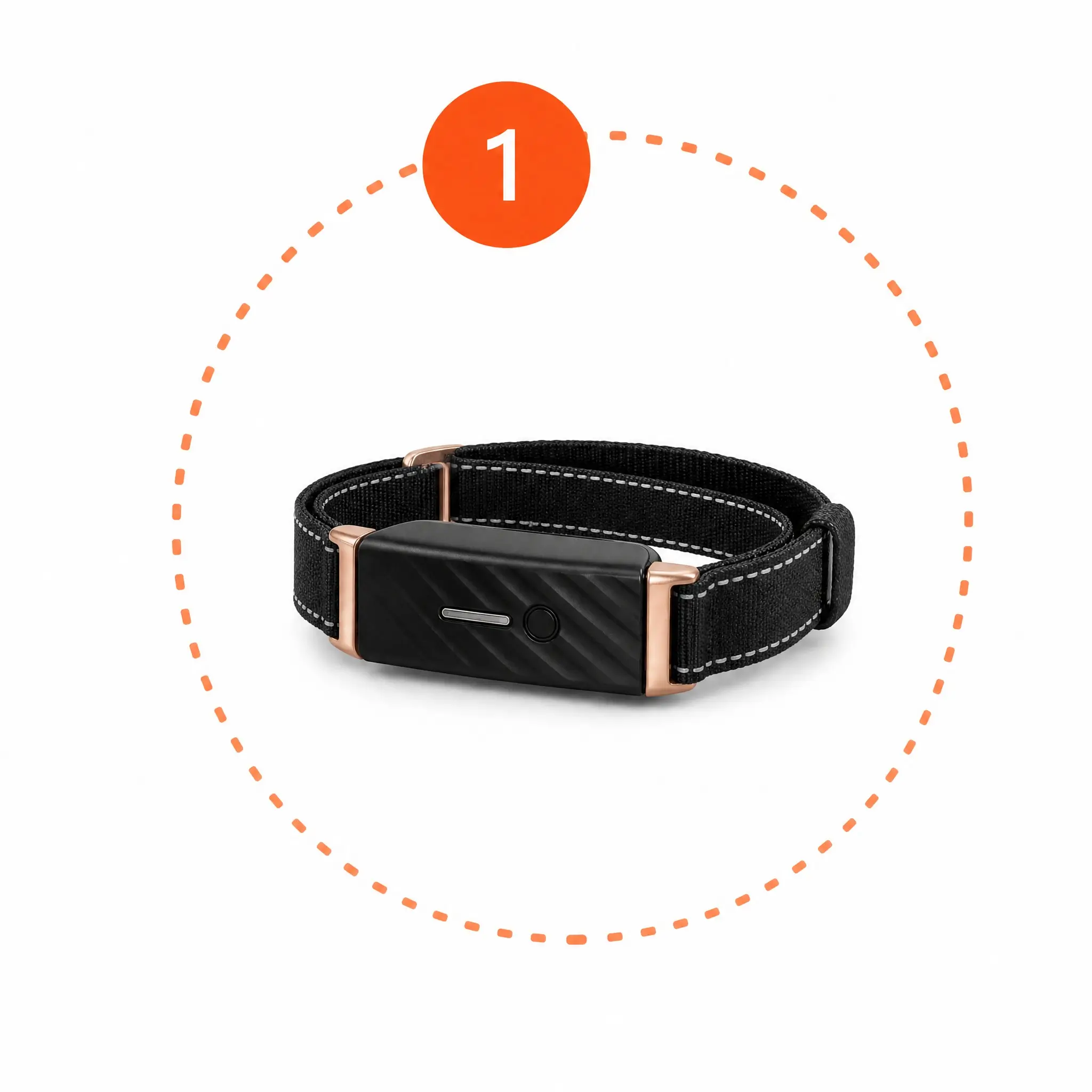 KIYE smart collar multi-sensor data collection tracking vital metrics for senior dogs.