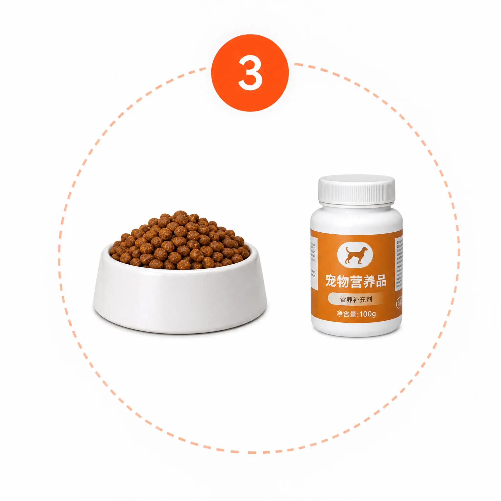 KIYE personalized nutrition and longevity protocol interventions tailored for senior dog care.