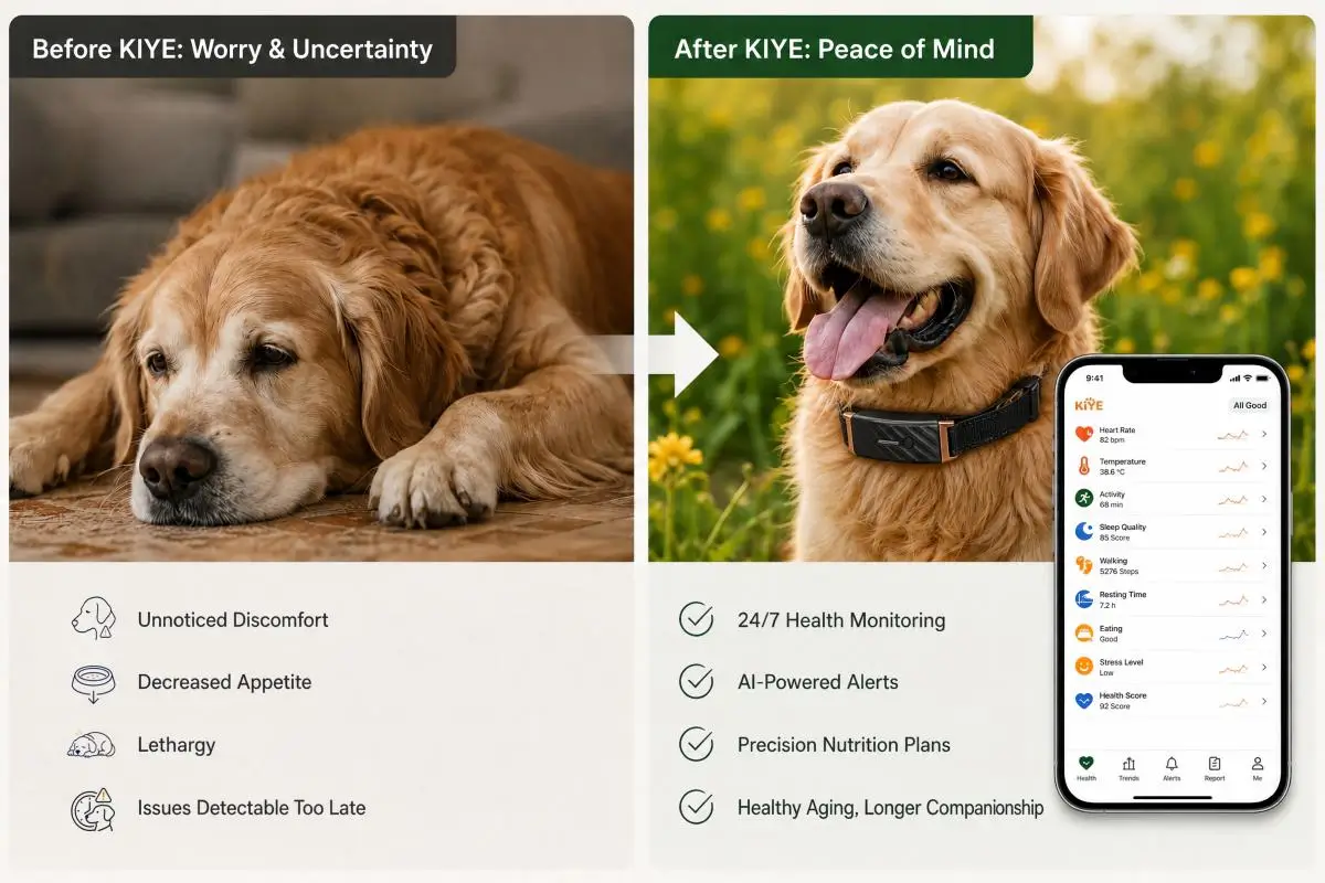 KIYE Smart Collar transforming senior dog health from worry to proactive monitoring for veterinary clinics
