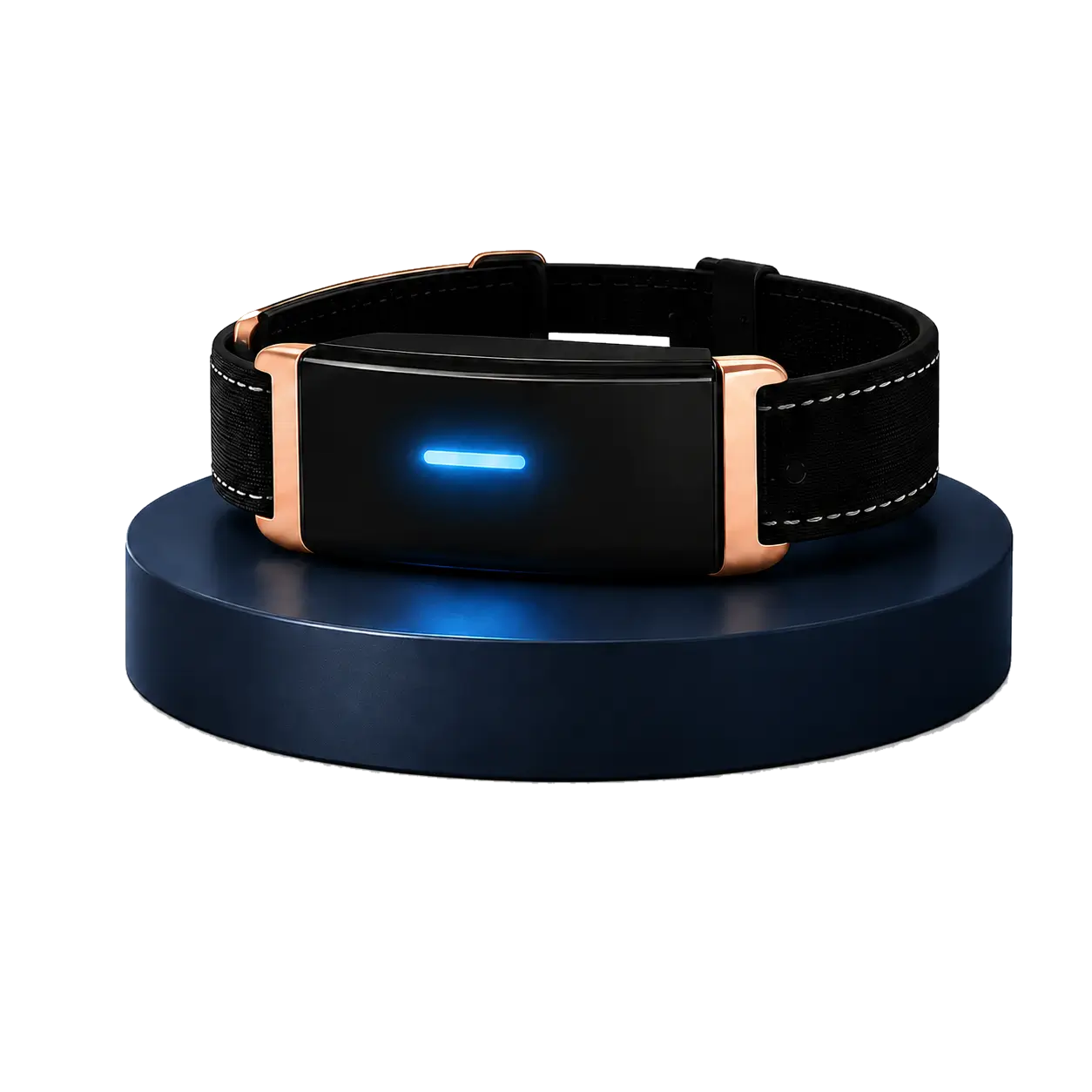 KIYE smart health collar for continuous senior pet wellness monitoring