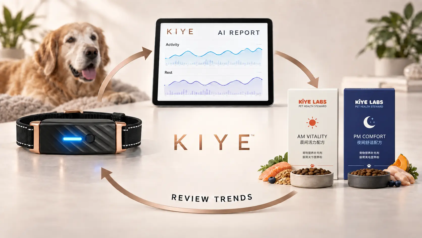 KIYE Smart Health Collar connected with AI wellness reports and AM Vitality and PM Comfort nutrition