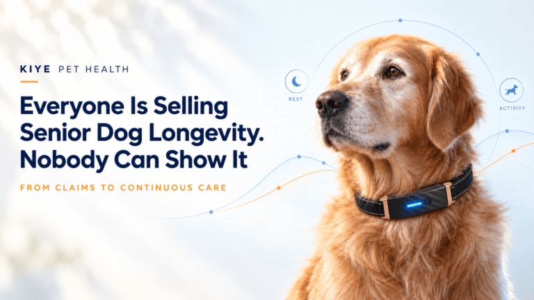 Senior golden retriever wearing a KIYE smart health collar with senior dog longevity and continuous care data graphics