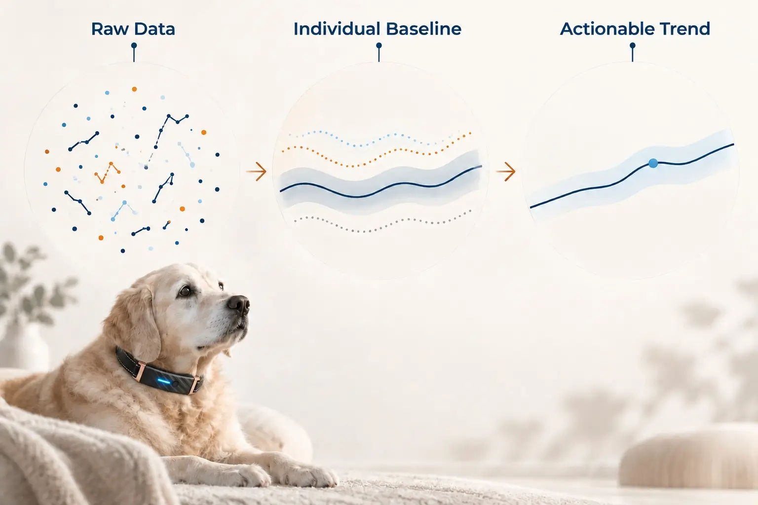 Diagram showing raw pet health signals becoming an individual baseline and actionable trend